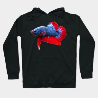 Betta Plakat Hoodie